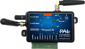 imgi_15_Spider-wiegand26